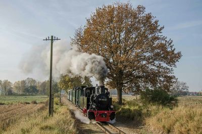 Trees on field against cloudy sky