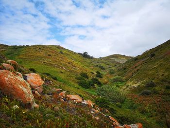 Scenic view of landscape against sky