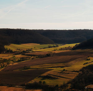 Scenic view of agricultural field against sky