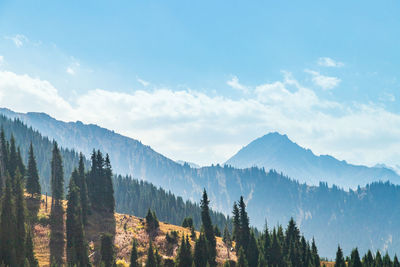 Panoramic view of trees and mountains against sky