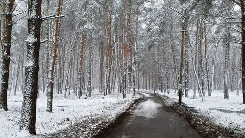 Road amidst bare trees in forest during winter