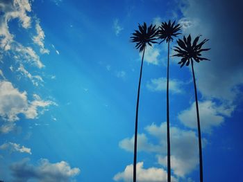 Low angle view of coconut palm trees against blue sky