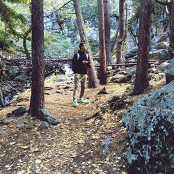 Full length of man in forest