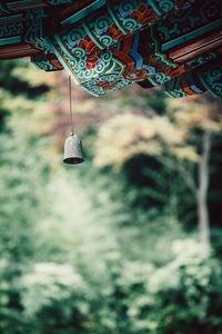 Close-up of hanging light