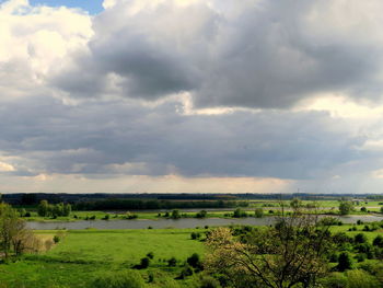 Scenic view of field against sky