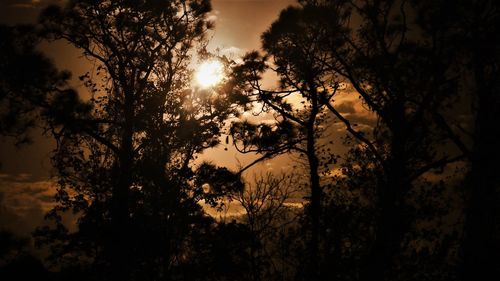 Silhouette trees against sky during sunset