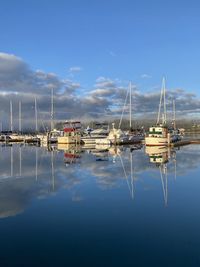 Sailboats in marina