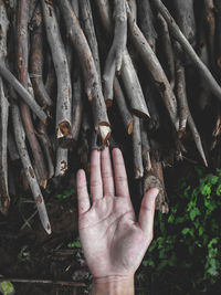 Close-up of human hand by wooden sticks in forest