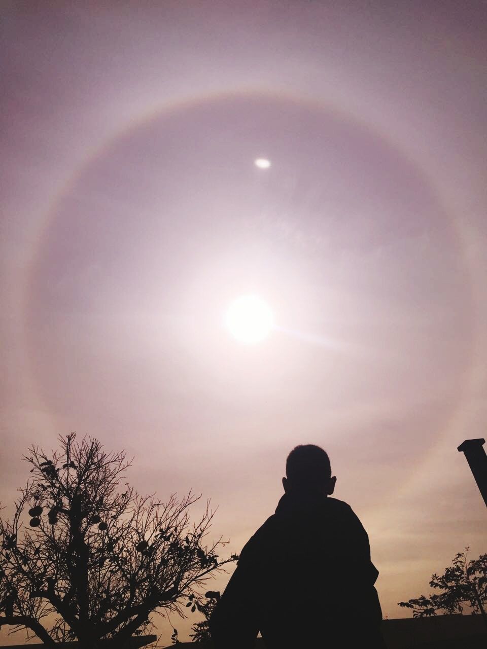 silhouette, one person, adults only, only men, sun, people, nature, moon, adult, sky, one man only, outdoors, day