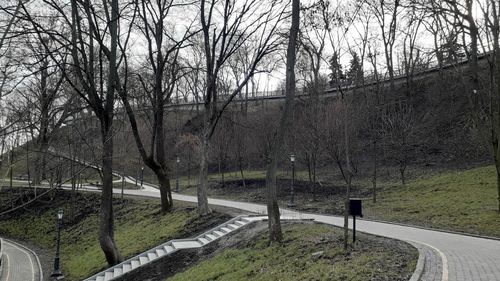 Footpath by bare trees in park