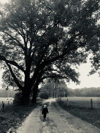 Rear view of woman walking on road amidst trees