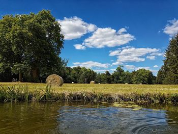 Scenic view of field against sky