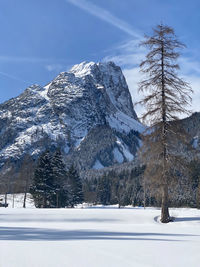 Snow covered land and trees against sky