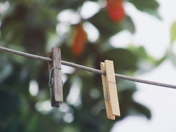 Close-up of clothesline hanging on rope
