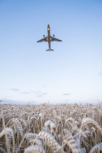 Airplane flying over agricultural field against sky