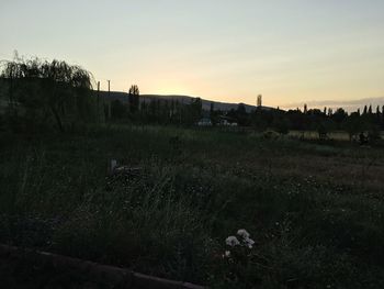 Scenic view of field against sky at sunset