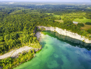 High angle view of river amidst trees