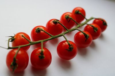 Close-up of tomatoes on table against white background