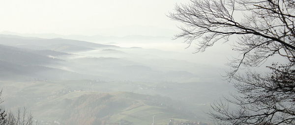 Low angle view of bare tree against sky in foggy weather