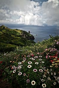 Scenic view of sea against cloudy sky