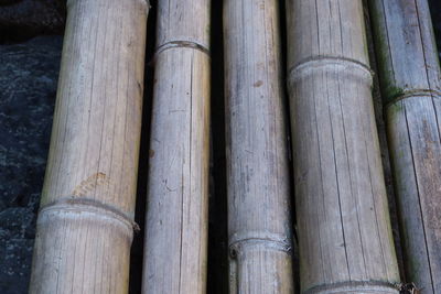 High angle view of bamboo trees in the forest