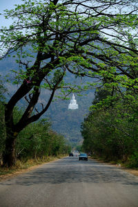 Road amidst trees and plants