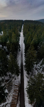 High angle view of waterfall amidst trees against sky