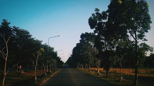 Street amidst trees against clear sky