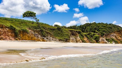 Scenic view of beach against sky