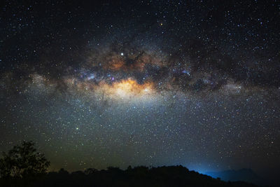 Silhouette trees against star field at night