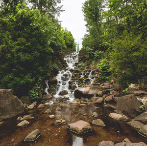 Scenic view of waterfall in forest