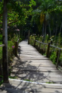 Walkway amidst trees against plants