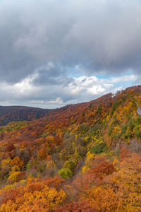 Scenic view of landscape against sky during autumn