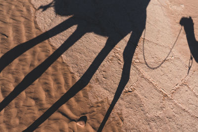 High angle view of shadow on sand