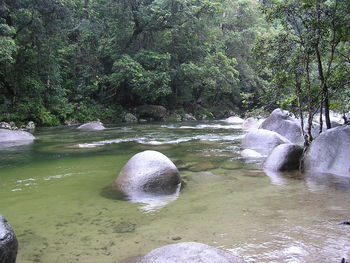 River flowing through rocks