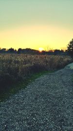 Road passing through grassy field during sunset