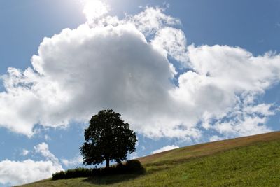 Scenic view of grassy field against cloudy sky