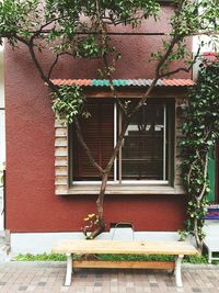 Plants in front of house