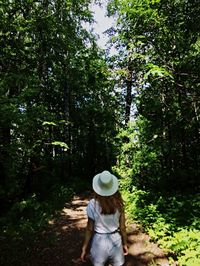 Rear view of woman wearing hat amidst trees in forest