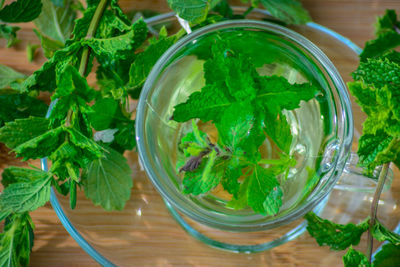 Close-up of salad in plate on table