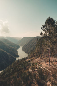 Scenic view of landscape against sky