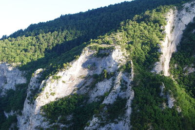 Scenic view of waterfall in forest against sky