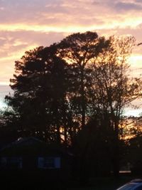 Silhouette trees against sky during sunset