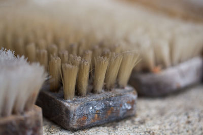 Close-up of cleaning brushes on table