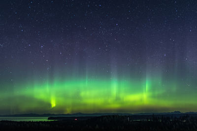 Scenic view of star field at night