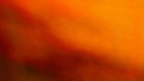 Close-up view of orange abstract