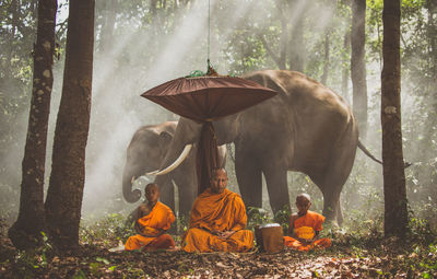 Monks meditating in forest sitting against elephants