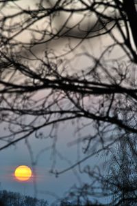 Low angle view of silhouette bare trees against sky at sunset