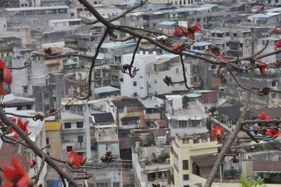 High angle view of buildings in city