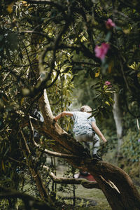 Low angle view of boy sitting on tree trunk in park